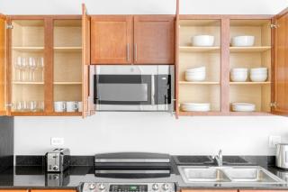 Loop Studio w gym pool lounge 1 block from L CHI-701 - 5