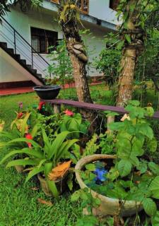 Hanthane.Lk - Galle - 2