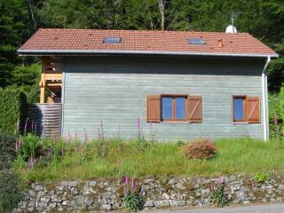 le chalet - Saint-Nabord - 0