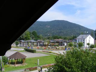 le chalet - Saint-Nabord - 7