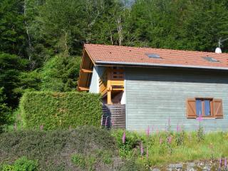 le chalet - Saint-Nabord - 1