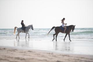 Umm Al Quwain Beach Hotel - 1