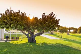 ColleVerde - Noto - 9