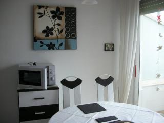 1 Bedroom Penthouse On Front Line Of The Beach - Roquetas de Mar - 2