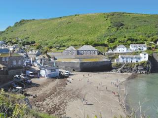 Puffins - Port Isaac - 2