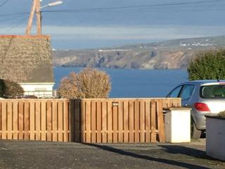 Puffins - Port Isaac - 1