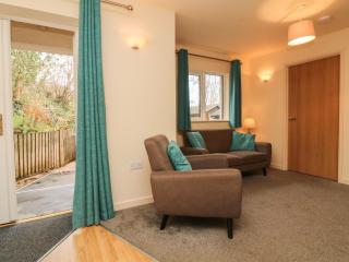 Larchwood Lodge - Ilfracombe - 8