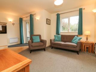 Larchwood Lodge - Ilfracombe - 7