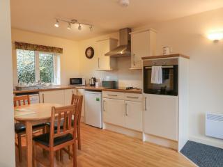 Larchwood Lodge - Ilfracombe - 4