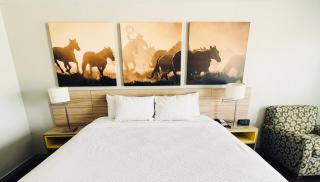 Days Inn & Suites by Wyndham - Canton First Monday Trade Days - Canton - 4