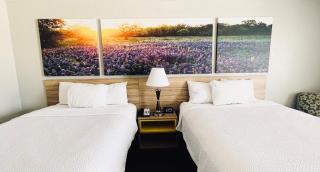 Days Inn & Suites by Wyndham - Canton First Monday Trade Days - Canton - 8