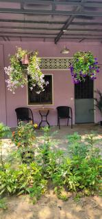 The Purple House - Siem Reap - 6