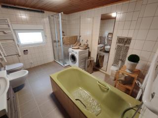 Michas Lahn Ferienwohnung - - 1