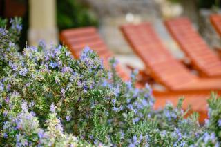 Casa Aromatica Maria - Mali Lošinj - 6