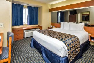 Microtel Inn & Suites Leesburg - Leesburg - 8