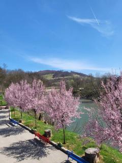 Nihad B&B - Visoko - 9