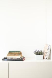 The Plaza Flat - 1