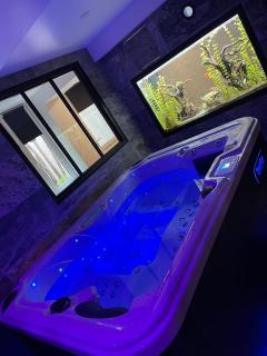 Nuit de la sagesse "jacuzzi terrasse et parking privé" - Rouen - 3