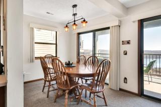 Flowering Dogwood -- 207 - Branson - 5