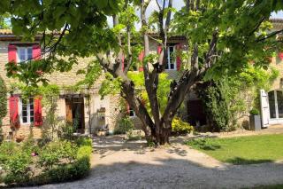 Le Mas de Jalique - Isle-sur-la-Sorgue - LʼIsle-sur-la-Sorgue - 8