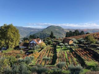 Quinta Vila Rachel - Winery - São Mamede de Riba Tua - 0