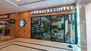 Rooms at Mansion One, Shared Apartment Only - 9