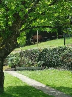 LE MACHAON , Gîte rural *** avec espace piscine privé - Brégnier-Cordon - 3