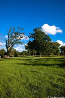 The Mews -- Luxury Stay at Bellingham Estate - 1