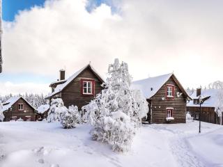 Ferienhäuser im Torfhaus Harzresort, Torfhaus - 5