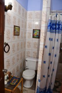 Whole Garden Apartment - Tanetane - 3