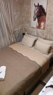 APARTAMENT-DAMO - Pamporovo - 9