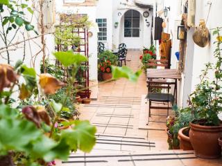 Casa Laura - Vejer de la Frontera - 1