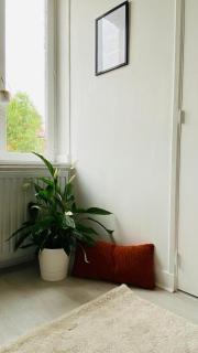 Maisonette Tran - Lille - 6