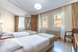 Elasophia Hotel - Istambul - 0