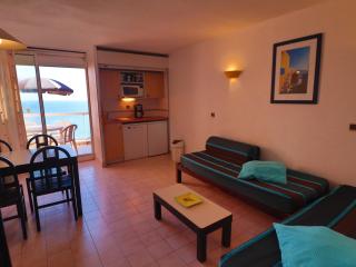 Studio cabine avec terrasse et vue mer à Sète, parking privé - FR-1-472A-275 - Sète - 8