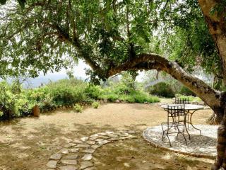 Delightful, authentic Quinta with swimming pool - Loulé - 5