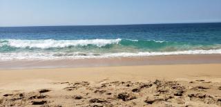 Villa Jardin de Mariposas - 3