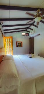 La Uvita Perdida - 0