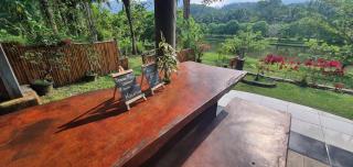 Sumatra Cheeky Monkeys - Bukit Lawang - 2