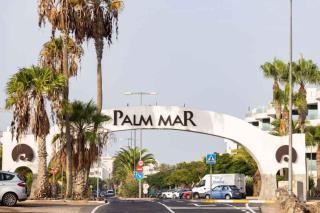 Apartment in Palm-Mar - Insel Teneriffa 4652 - Palm-Mar - 1