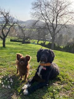 Uriges Bauernhaus mit Blick auf Graz - 5