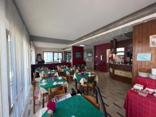 Hotel Primavera - Desenzano del Garda - 9