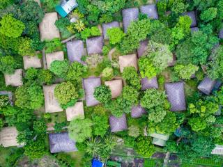 Spice Village Thekkady - A CGH Earth Experience - Thekkady - 8