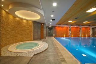 Hotel Perła Bieszczadów Geovita - Czarna - 9