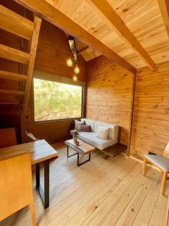 Mountain Eco Shelter 7 - Funchal - 5