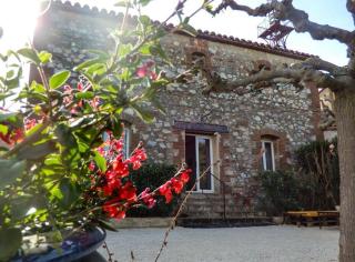La maison des vendangeurs - Canet-en-Roussillon - 5