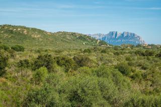 Myrsine 54 - Klodge - Olbia - 3