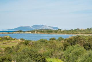 Myrsine 54 - Klodge - Olbia - 2