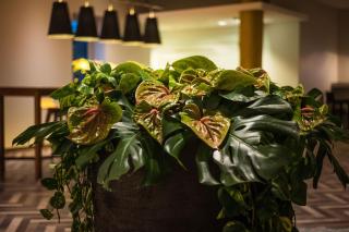 Sheraton Duesseldorf Airport Hotel - Düsseldorf - 1