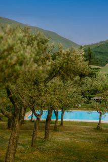 Tenuta delle Rose - Country House - 6